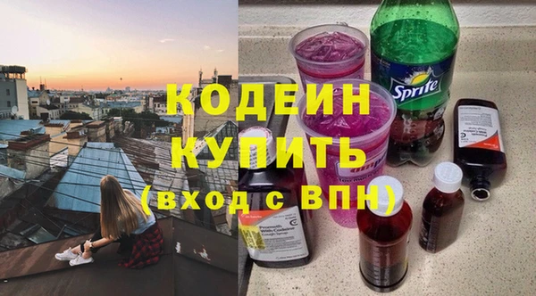 a pvp Бородино