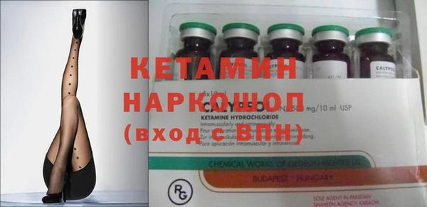 a pvp Бородино